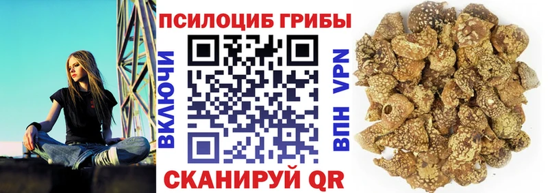 Галлюциногенные грибы Psilocybine cubensis  гидра рабочий сайт  Ливны 