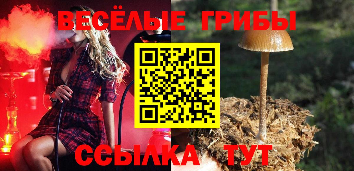 Ливны  Псилоцибиновые грибы Psilocybe  Вход с VPN 