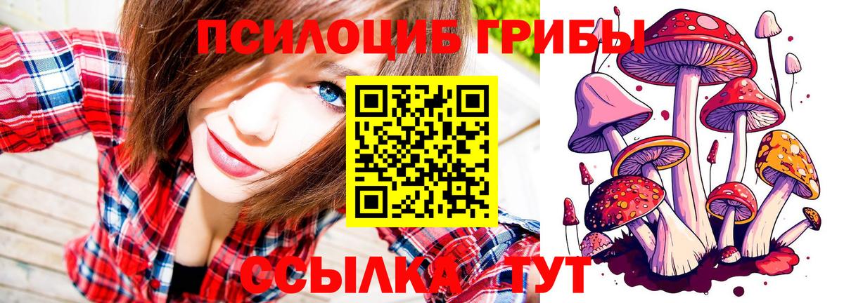 Псилоцибиновые грибы ЛСД Ливны